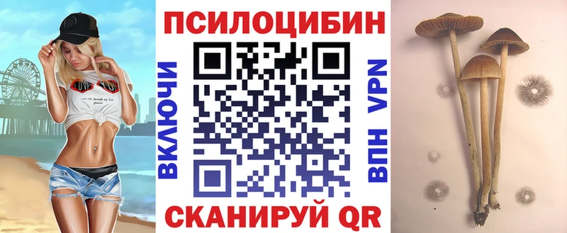 Галлюциногенные грибы мухоморы  даркнет сайт  Фатеж 